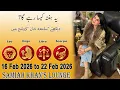 Weekly Horoscope Leo Virgo Libra Scorpio 16 Feb 2026 to 22 Feb 2026