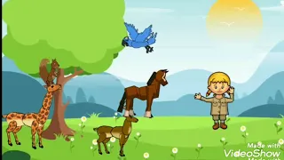 كارتون انشودة العصفور الطليق مكررة 