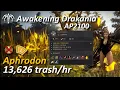 BDO Drakania Awak Aphrodon 13 626 13 626