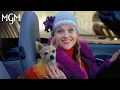 Download Lagu Legally Blonde (2001) | Favorite Elle Woods Quotes | MGM Studios