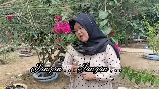 Download LEMAK DIDENGAN DEK LEMAK AKU ( Lagu daerah Rambang niru ) oleh LULU LURUSTA - Suban jeriji MP3