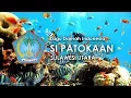 Download Lagu Si Patokaan - Lagu Daerah Sulawesi Utara (dengan Lirik)