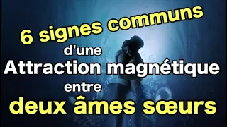 6 signes communs d une attraction magn tique entre deux mes s urs
