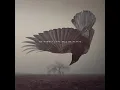 Old Heart Falls - Katatonia