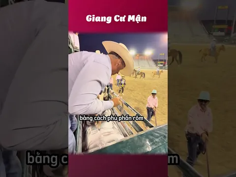 Họ phủ phấn lên một con ngựa 🐎 #giangcuman