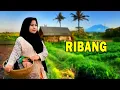 Download Lagu GITAR TUNGGAL RIBANG - Lipi Kinal Ft Bobi Mawardi  - Batang Hari Sembilan