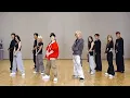 Download Lagu HOSHI X WOOZI (SEVENTEEN) - STUPID IDIOT Dance Practice Mirror