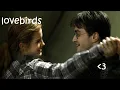 Harry caring for Hermione for 6 minutes straight