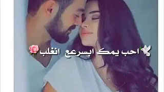 سيف نبيل بس تعال    دندنها
