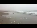 Little Compton Rhode Island 9 May 2018