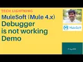 MuleSoft Debugger port is not working How to resolve it Mule4 1 min