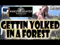 MONSTER HUNTER WORLD - Gettin Yolked in a Forest Guide Wyvern Eggs Fastest Route