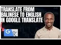 How to translate from Balinese to English in Google translate app
