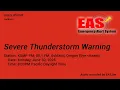 EAS EAS Severe Thunderstorm Warning - June 30 2025