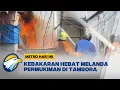 Download Lagu Pemukiman Padat di Tambora Jakarta Terbakar  - [Metro Hari Ini]