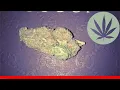 Banana Diesel - All About This Strain