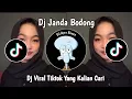 Download Lagu DJ JANDA BODONG BOOTLEG VIRAL TIKTOK 2025 YANG KALIAN CARI |