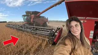 Soybean Harvest is Off to a Rough Start