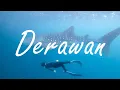 Derawan Travel Video Highlights - Whaleshark, Stingless Jellyfish, Stingray, Dolphins, Tortoise