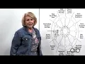 Astrology 101 How Does the Astrological Chart Work Together