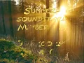Shine On - The Kooks