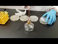 Mutation Caused by UV Light