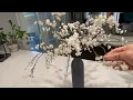 So Lifelike Faux Baby Breath Honest Review Geegoods