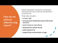 Bug Report in Software testing