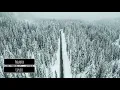 Lipless - Paradox