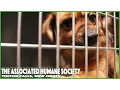 Pet Nation Renovation Associated Humane Society Tinton Falls New Jersey