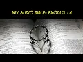 EXODUS 14 NIV BIBLE with text