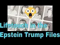 YOU Might Be IN THE EPSTEIN FILES Lifetouch SCHOOL Photos