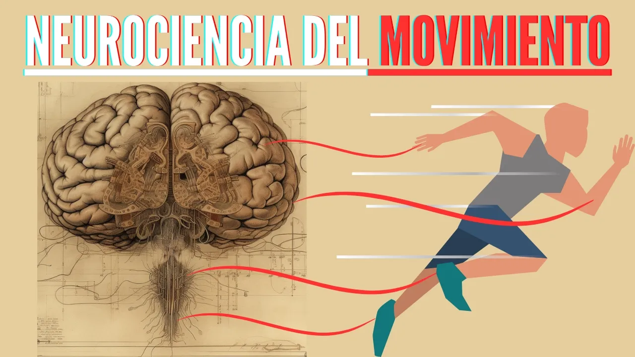 Neurociencia del movimiento y su control