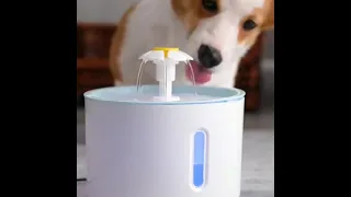 Electrical Fountain نافورة مائية 