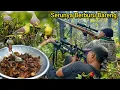 Lagu Berburu burung punai langsung kita masak di hutan, Lumer sekali.. 😲🤤🤤