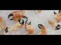 Florida Stone Crabs at Bonefish Grill