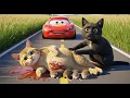 Download Lagu Mama Cat Seriously Injured After Truck Hit – Rescue Begins! 🐱🚑