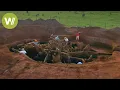 Download Lagu Secret Megalopolis of Ants Uncovered - Truly a Wonder of the World !