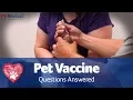 Pet Vaccine FAQs Pet Care Pro Show