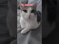 Send Gracie a