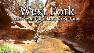 West Fork Our Favorite Hike In Sedona