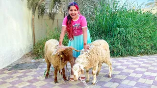 شفا خافت من الخرفان العيد   هربوا الخرفان   دندنها