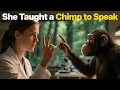 The Untold Story of Washoe - The First Chimp to Learn Human Language
