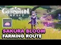 Sakura Bloom Locations Guide In Genshin Impact