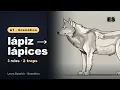 Spanish plurals 3 rules and 2 traps A1