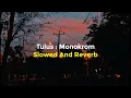 Download Lagu Tulus : Monokrom Slowed And Reverb