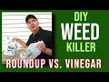 Quick Tip Is DIY vinegar weed killer better than Roundup