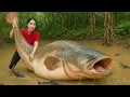 Download Lagu REWIND TIMELAPSE – 365 Days Giant Catfish \u0026 Carp the Abandoned Pond to Sell at the Market |Farm Life