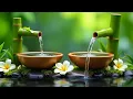 No Ads Relaxing Music Lullaby Music For Deep Sleep, Calming music for sleep [Cure cardiovascular]
