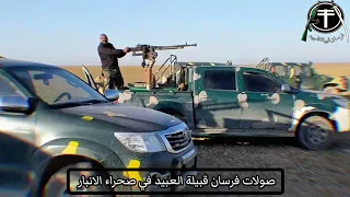 صولات   فرسان قبيلة العبيد   الابطال في صحراء الانبار الشاميه لمطاردة فلول تنظيم داعش الأرهابي دندنها
